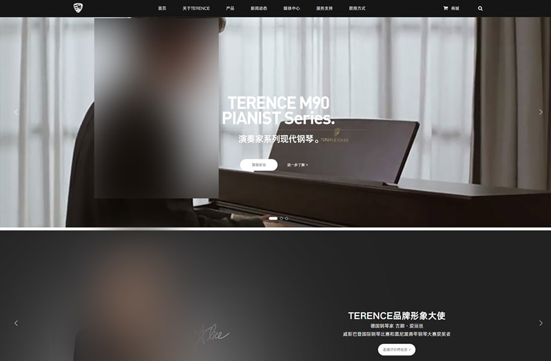 Shenzhen Terence Musical Instrument Co., Ltd. is an innovative music technology enterprise that focuses on the research and development of modern instruments. It is a comprehensive instrument company that integrates research and development, design, production, sales, and music education.TERENCE adheres to continuous innovation and continues to shape modern musical instruments; Committed to creati...